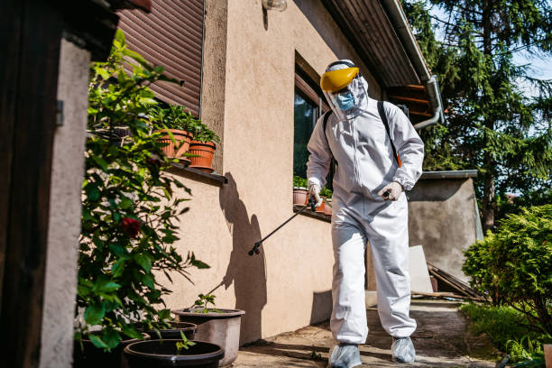 Best Flea Control Services  in Atoka, TN