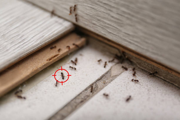 Best Best Pest Control Companies  in Atoka, TN