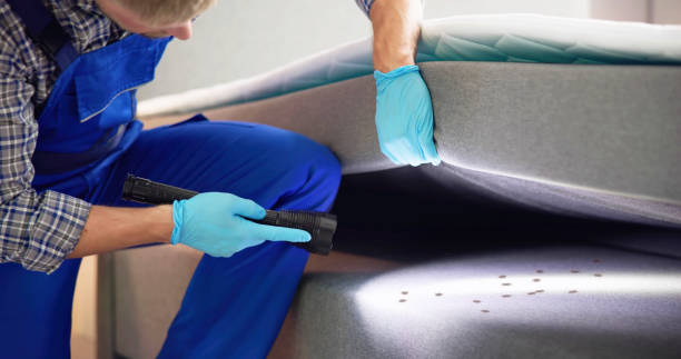 Best Local Pest Control Services  in Atoka, TN
