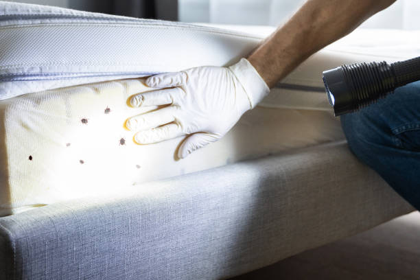 Best Pest Removal Services  in Atoka, TN