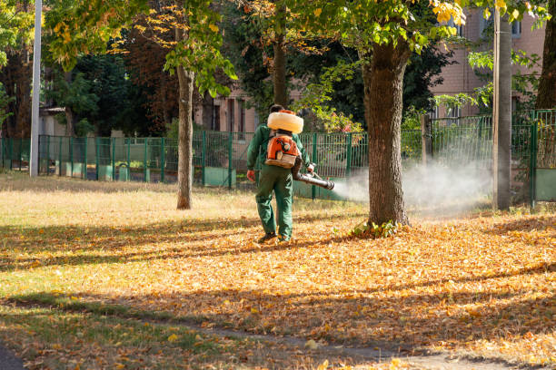 Flea Control Services in Atoka, TN