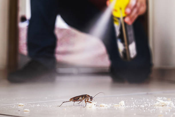Professional Pest Control in Atoka, TN