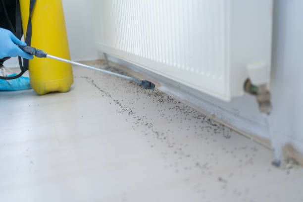 Best Commercial Pest Control Services  in Atoka, TN