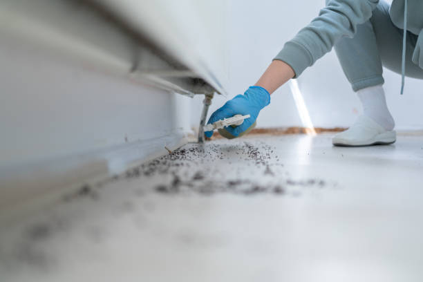 Best Flea Control Services  in Atoka, TN