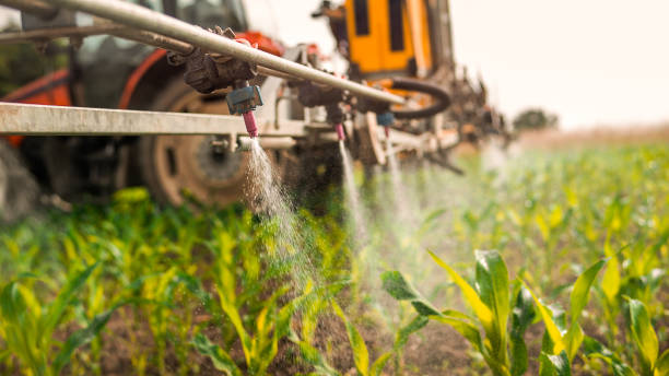 Best Wildlife Control Services  in Atoka, TN